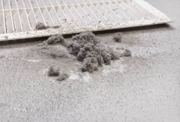 Best Best Air Duct Cleaning Near Me  in Briar Chapel, NC
