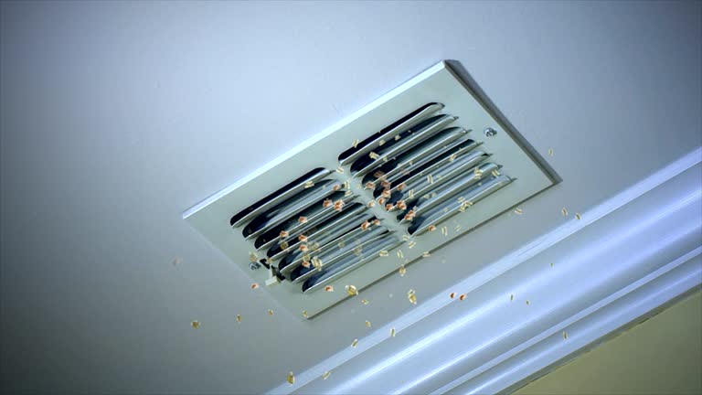 Best Ductwork Cleaning Services  in Briar Chapel, NC
