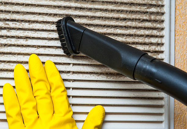 Best Air Vent Cleaning Services  in Briar Chapel, NC